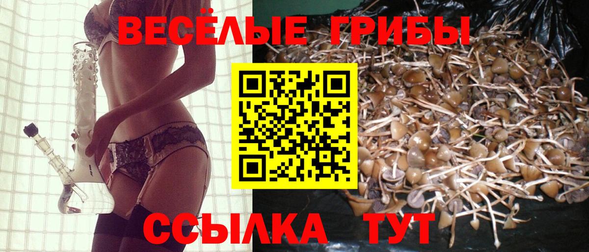 Магадан  Псилоцибиновые грибы MAGIC MUSHROOMS  Галлюциногенные грибы MAGIC MUSHROOMS  Вход с VPN 
