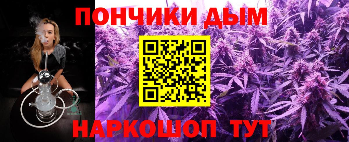 Каннабис сатива Магадан